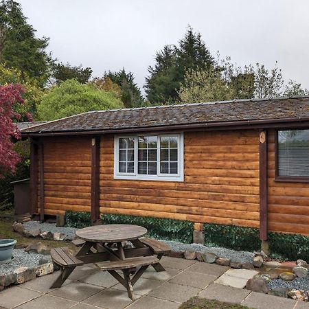Snowdonia Log Cabin 2 Trawsfynydd Exterior foto